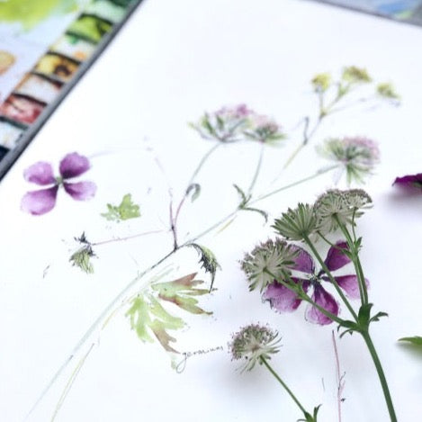 COMRIE ART HUT -' Painting Florals in Watercolour'  7th/8th Sept 2024