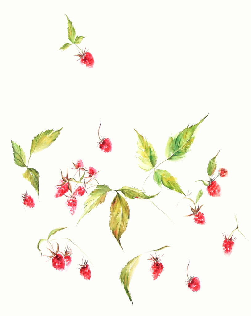 Raspberries Off white Print