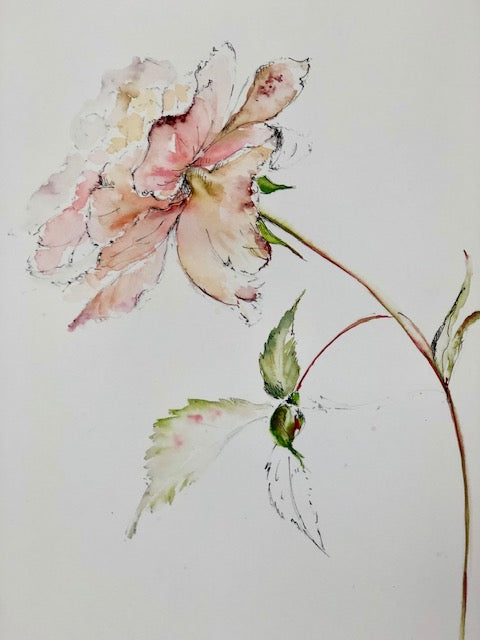 Floral Watercolour Courses