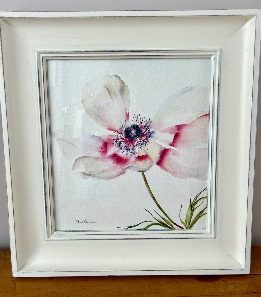 White Anemone Watercolour