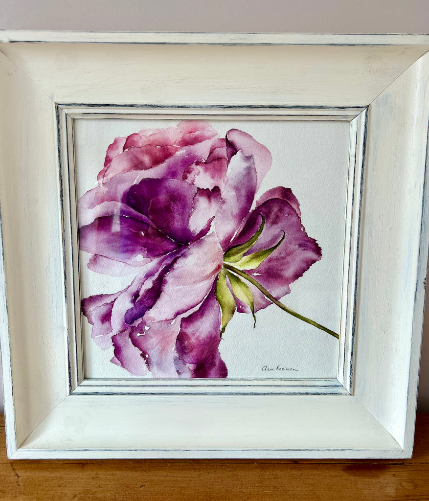Purple Ranunculus Watercolour