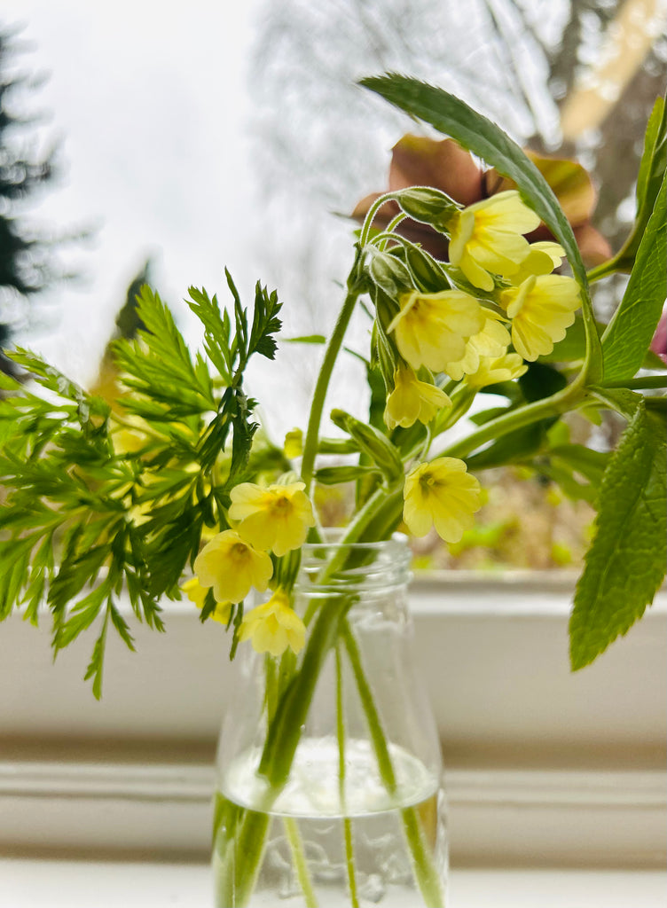 BRANKLYN GARDEN National Trust for Scotland - September 2025