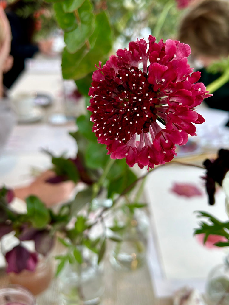ART RETREAT - GARTMORE HOUSE Autumn Florals