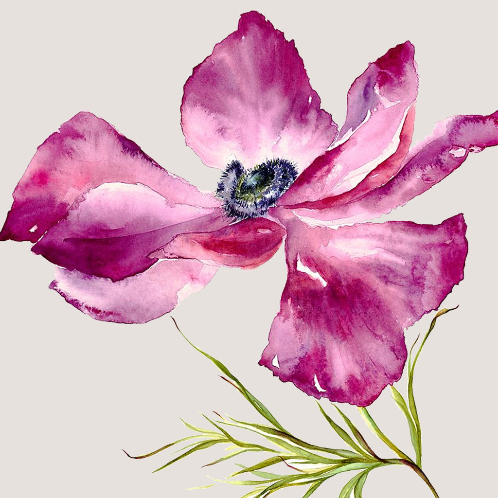 Fuschia Anemone Card (c)