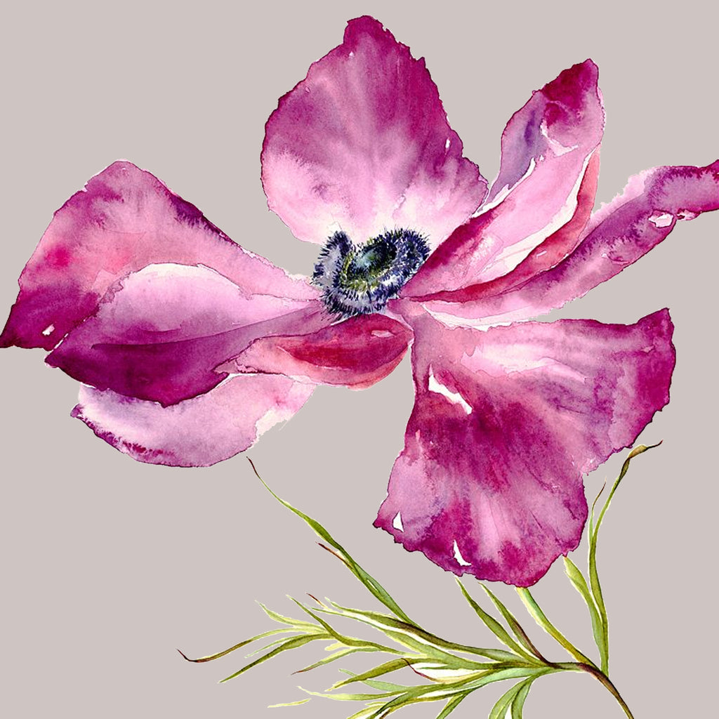 Fuschia Anemone Card (b)