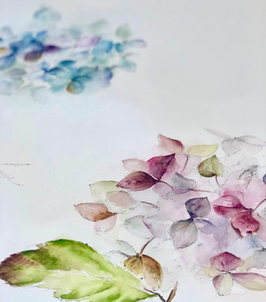 WATERCOLOUR CLASSES 2024 - Wednesday's Lecropt Kirk Hall, Bridge of Allan