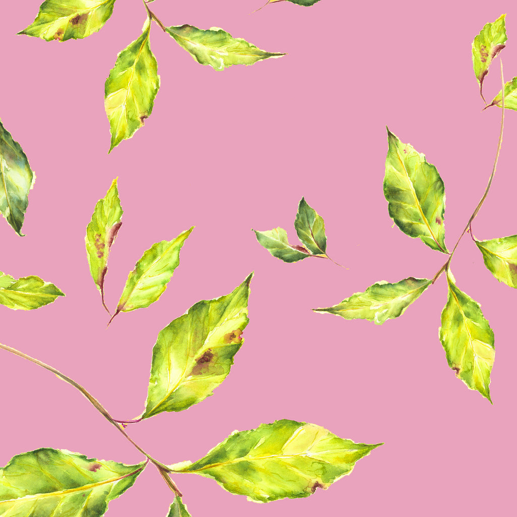 Bay Leaves Dusky Pink card