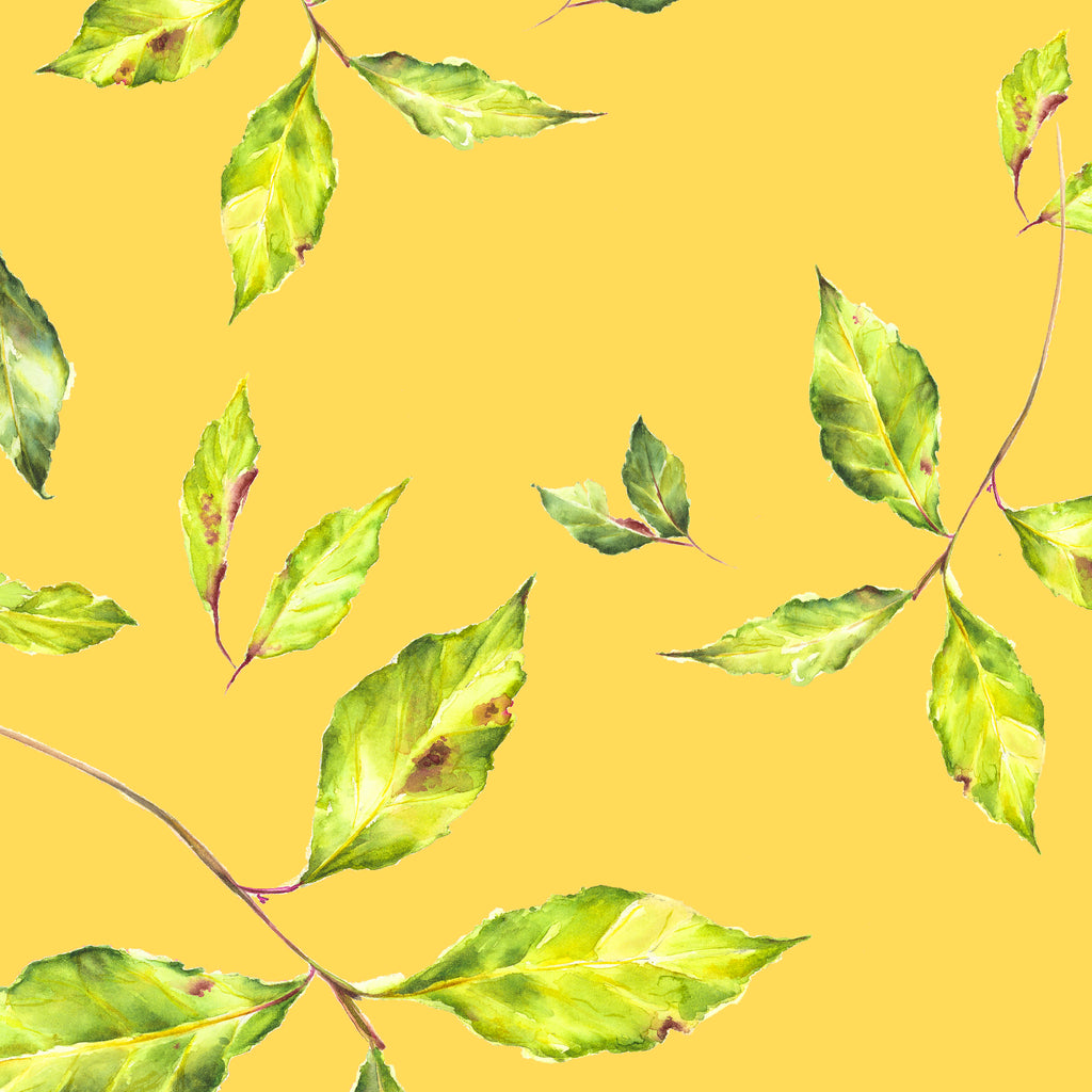 Bay Leaves Ochre card