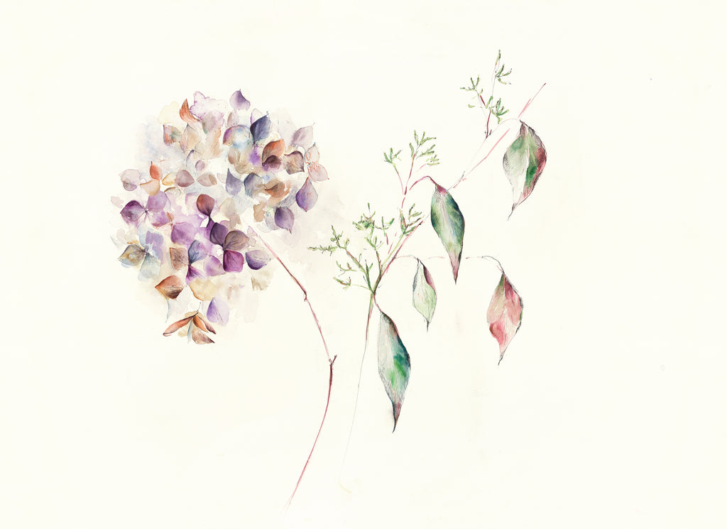 Hydrangea Plum and Eucalyptus Leaves