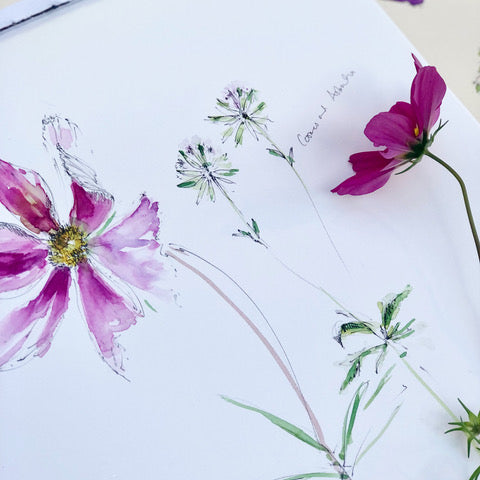 BRANKLYN GARDENS (National Trust Scotland) - Floral Art Workshop Morning