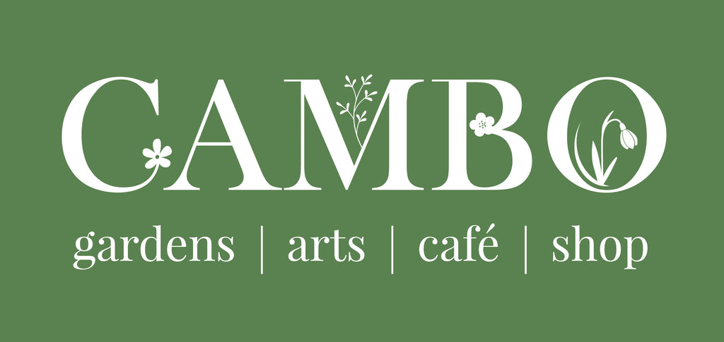 CAMBO GARDENS, ST ANDREWS - WATERCOLOUR WORKSHOP July 2023