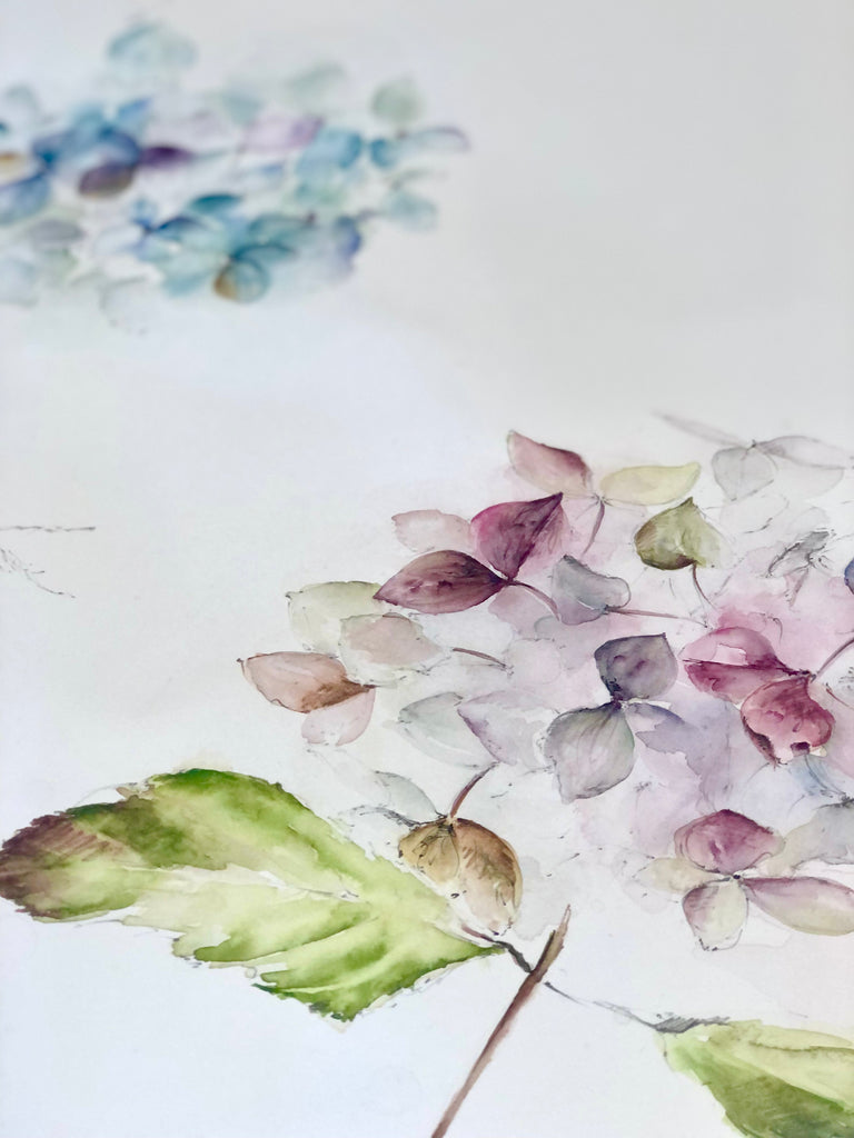 WATERCOLOUR CLASSES - DAISY'S PRIVATE GROUP JUNE 2023