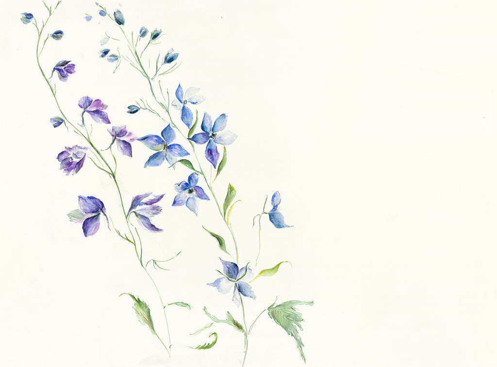 Delphiniums