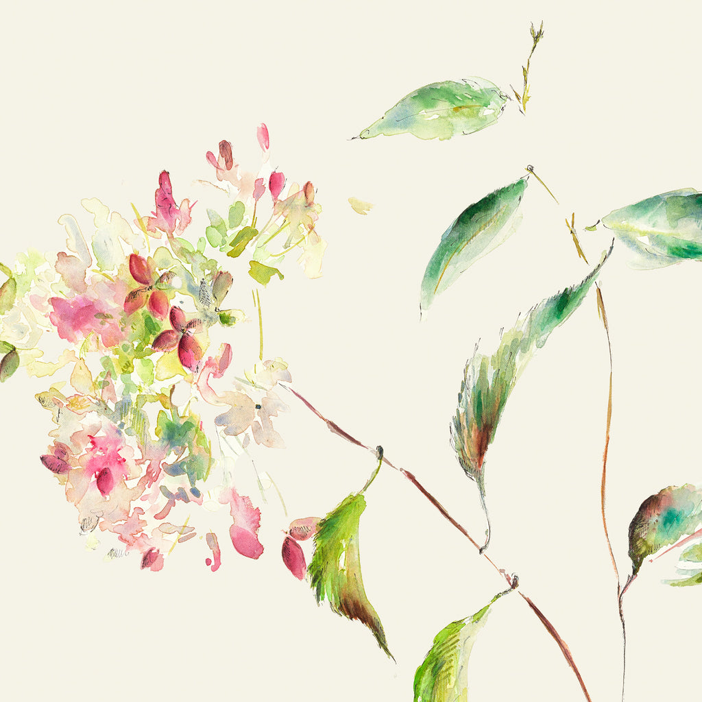 Hydrangea Card