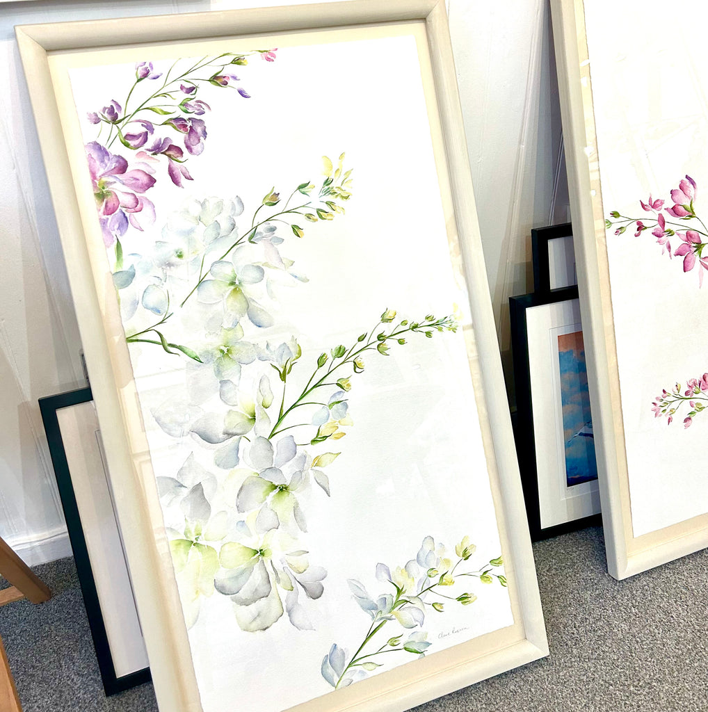 White Stocks Watercolour