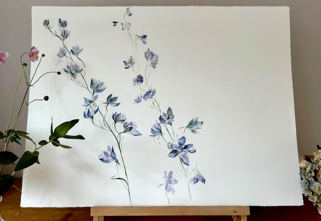 Delphiniums Deep Dusky Blue