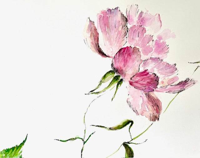 Garden Pink Roses