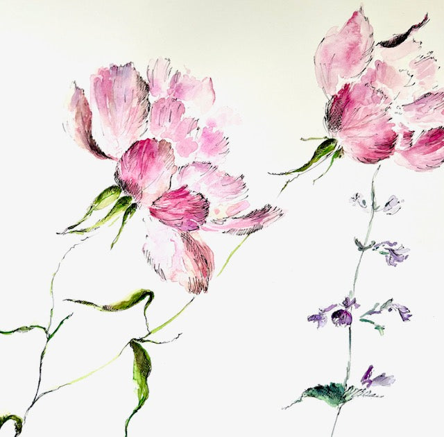 Garden Pink Roses