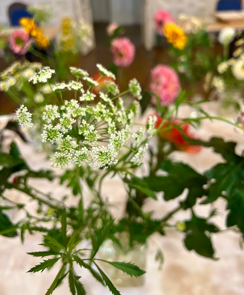 ART RETREAT - SCOTLAND GARTMORE HOUSE Autumn Florals 2026