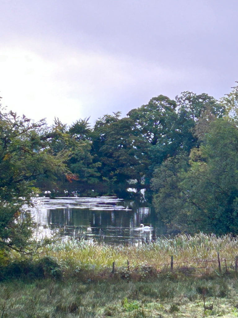 ART RETREAT - SCOTLAND GARTMORE HOUSE Autumn Florals 2026