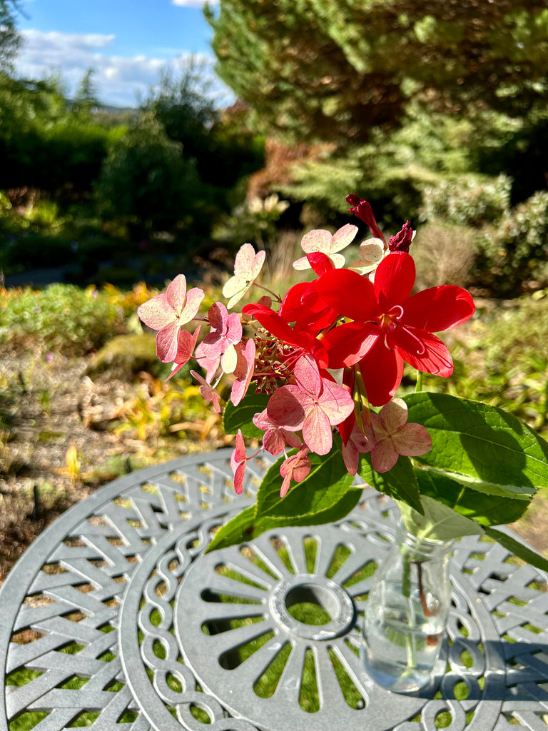 BRANKLYN GARDEN National Trust for Scotland - March 2026