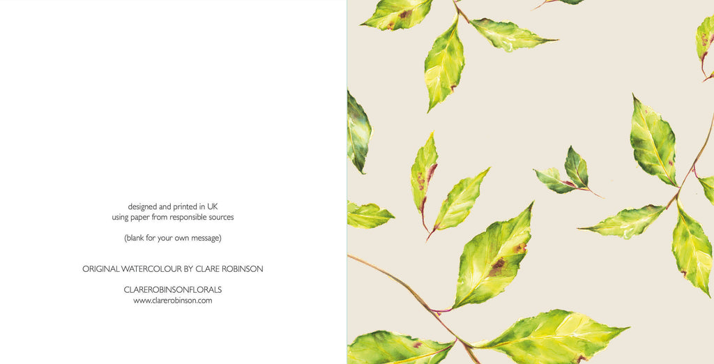 Bay Leaves Natural Card