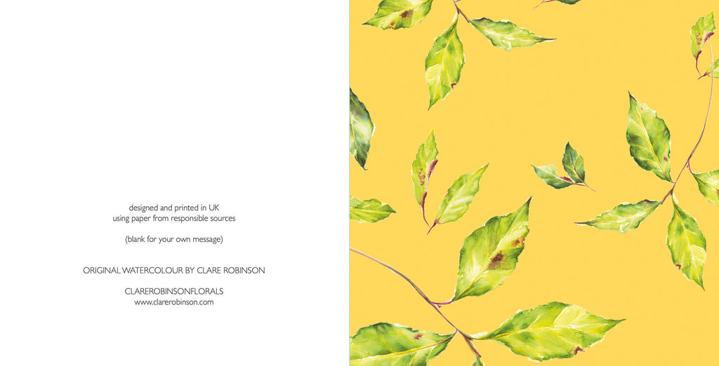 Bay Leaves Ochre card