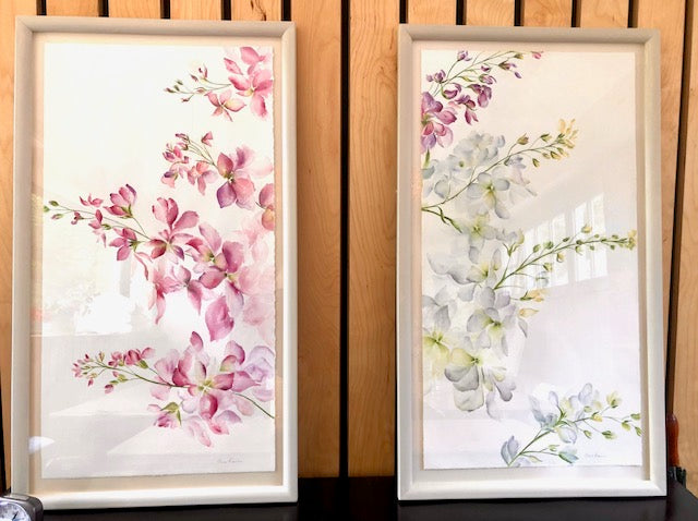 White Stocks Watercolour