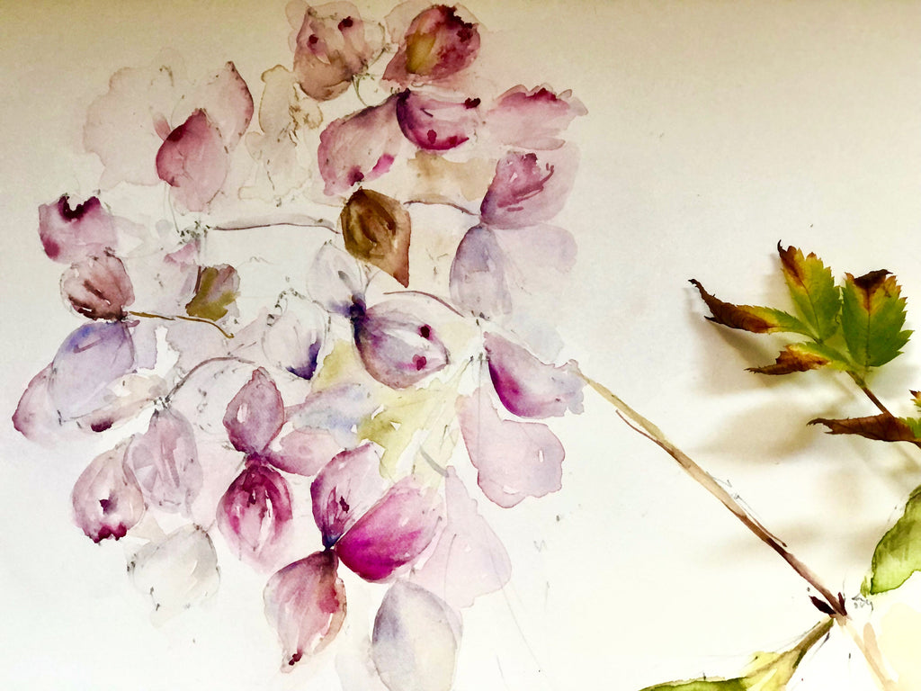 WATERCOLOUR CLASSES March 2023 - Lecropt Kirk Hall, Bridge of Allan