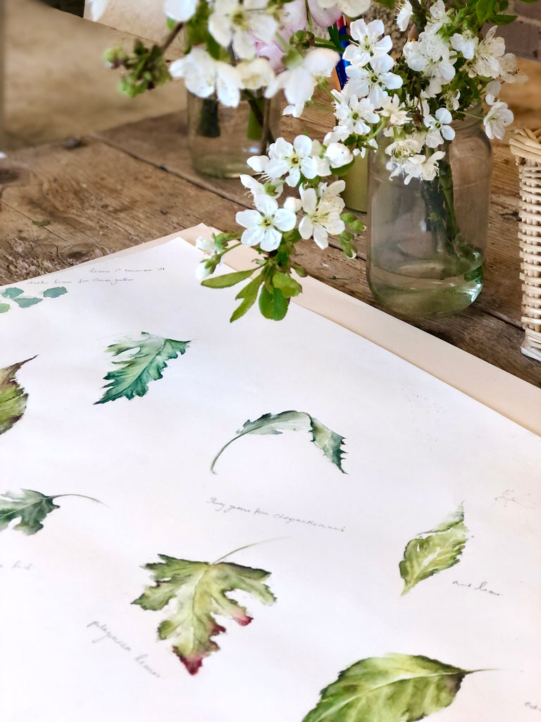 DAYLESFORD ORGANIC COTSWOLDS:  25th July 2023
