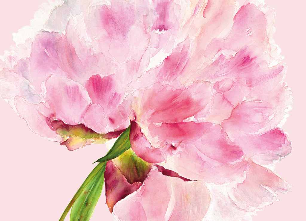 Peony & Rose postcards