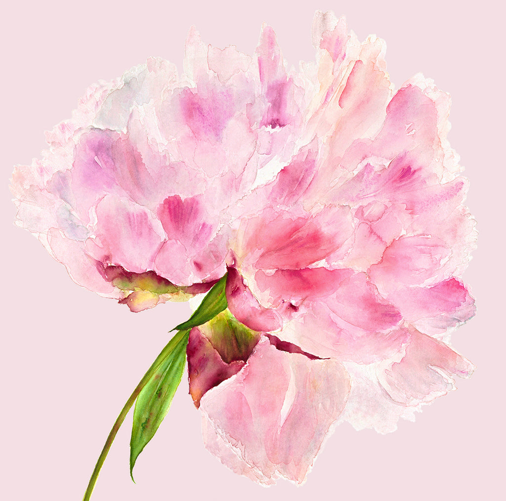 PInk Peony card