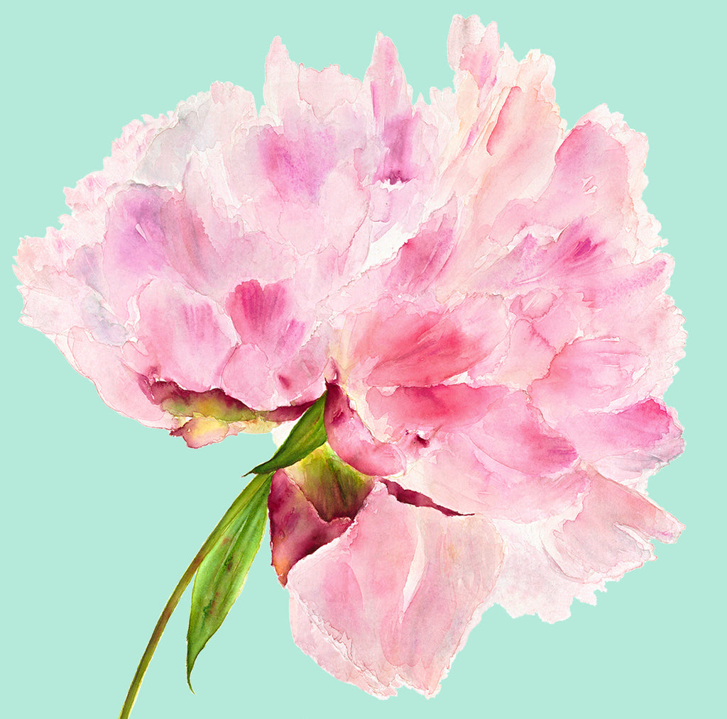 PInk & Mint Peony card