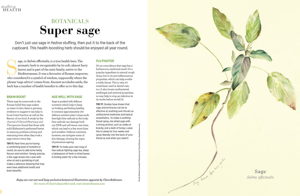 Sage Print