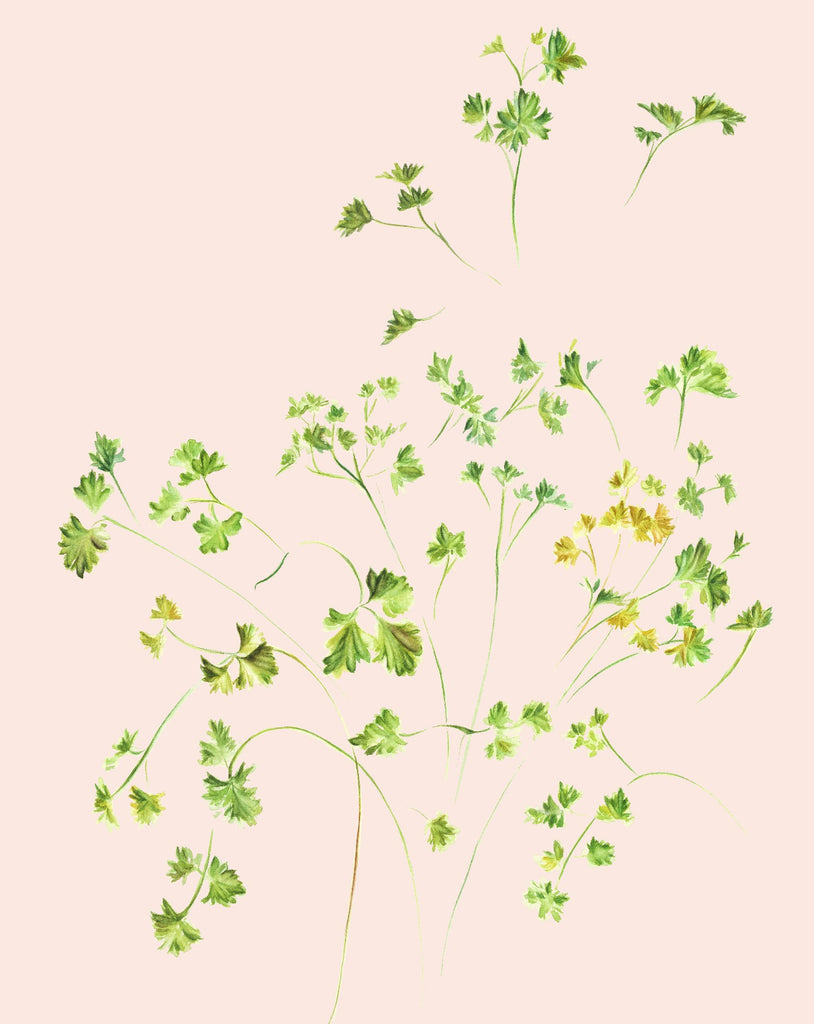 Parsley Print Pink