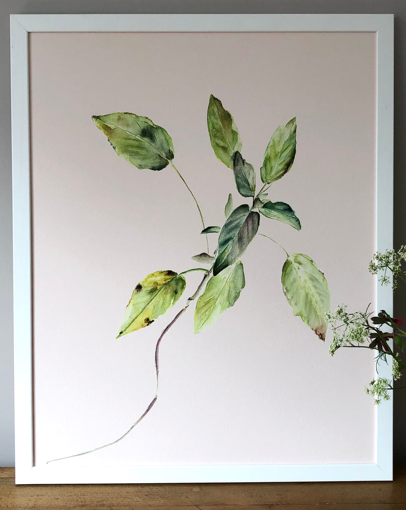 Sage Print