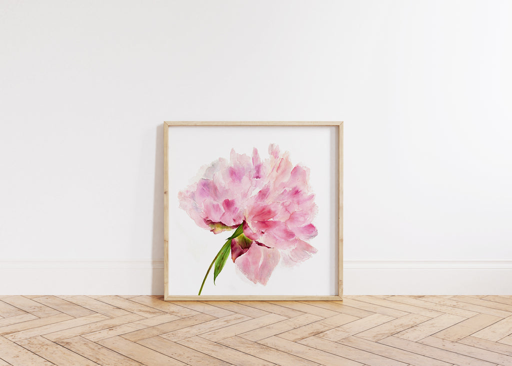 Faded Pink Peony Print