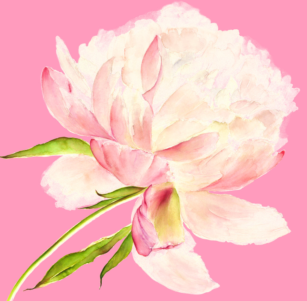 Faded Peony & Pink card