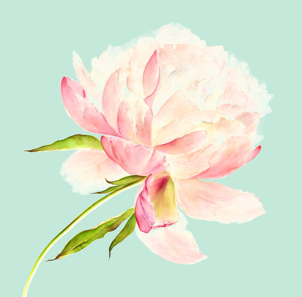 Faded Peony & Mint card